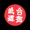Aiki Budo