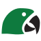 Araflora