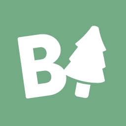 Duurzame kerstbomen