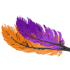Ibizafeathers