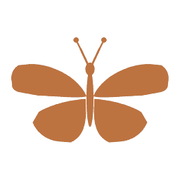 Monarch Drive