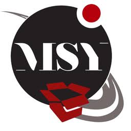 MSY Invest SPRL