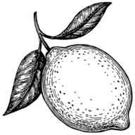 Nomu