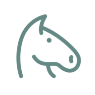 Online Hobby Horses Nederland