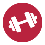 Q Muscle