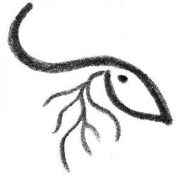 Schemerwild