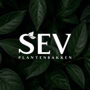 SEV Plantenbakken