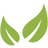 Theeje