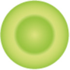 VERITAS