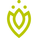 Vitakruid