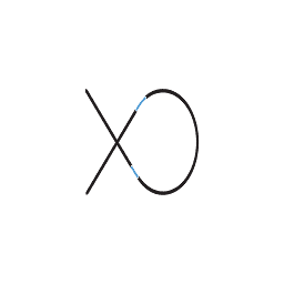 Xenon Odijk